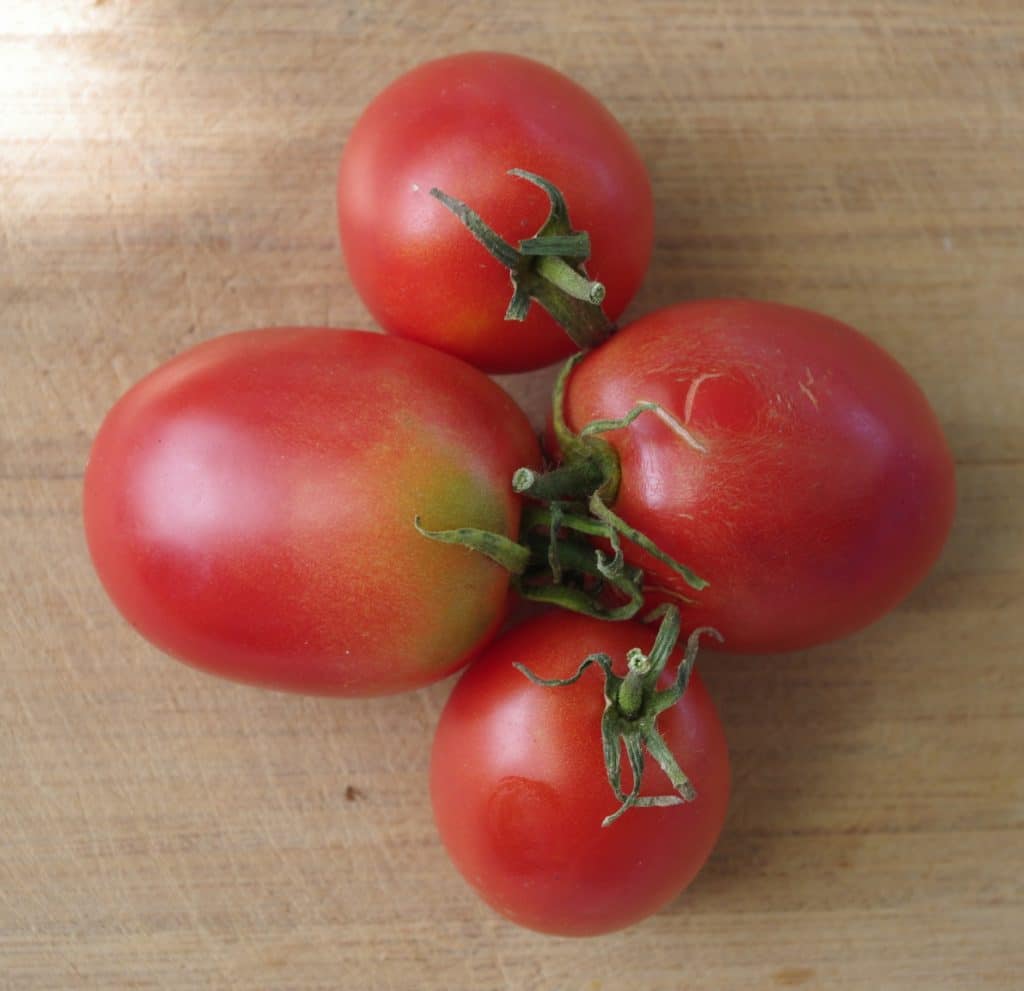 Tomate de Bérao Potage et gourmands